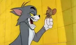 老鼠爱上猫在线观看,一场跨越物种的浪漫冒险